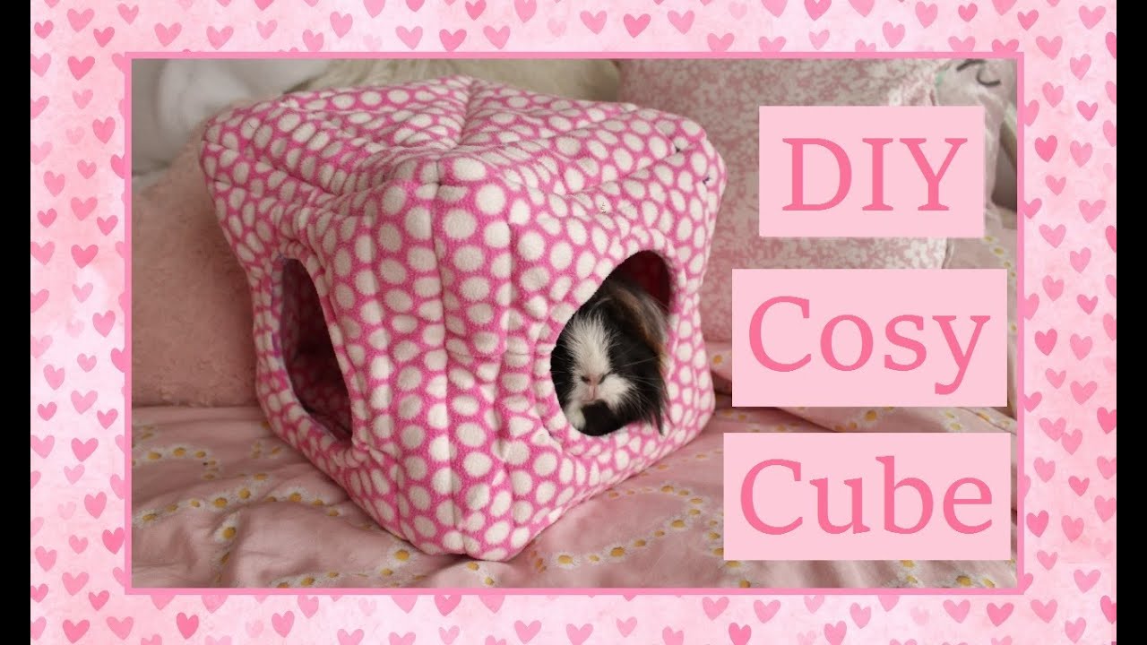 DIY Guinea Pig Cosy Cube Tutorial