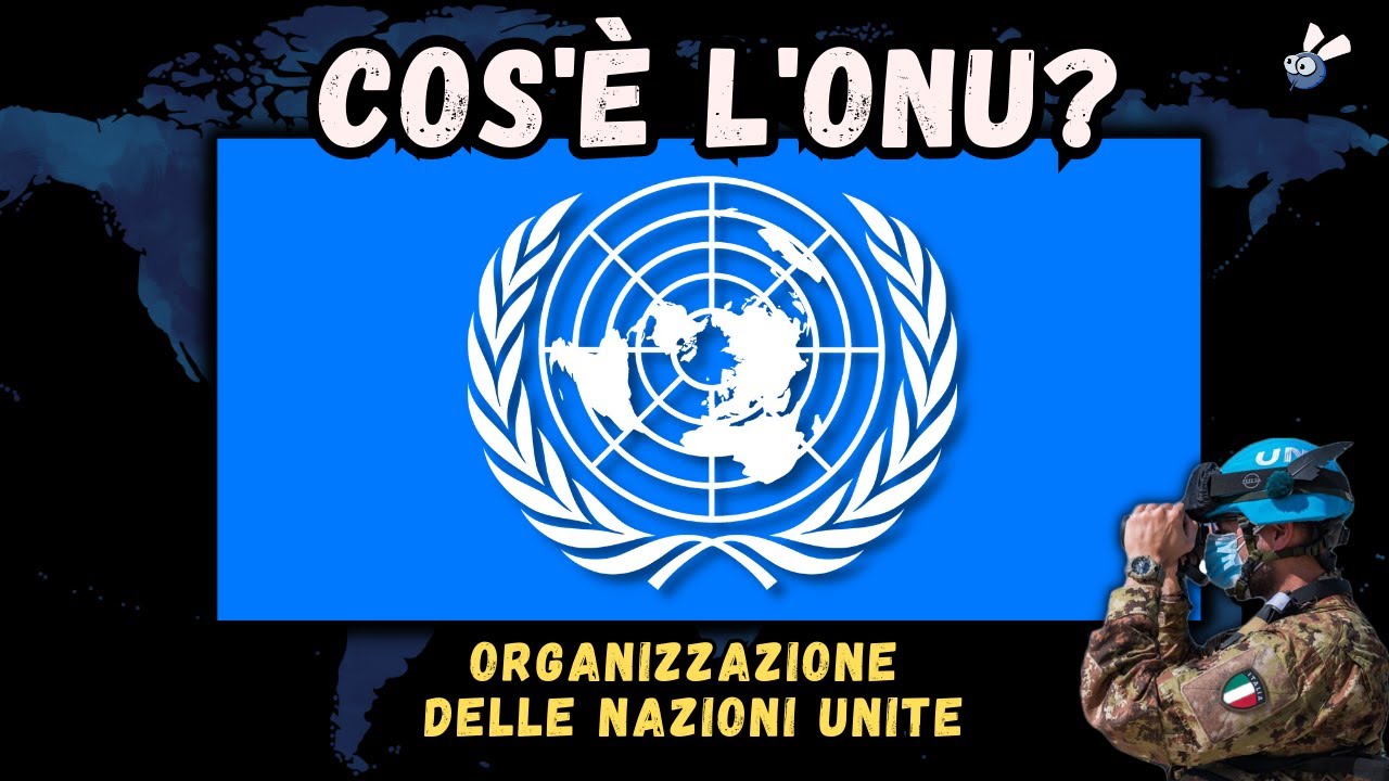 ONU: tutto quello che c'è da sapere