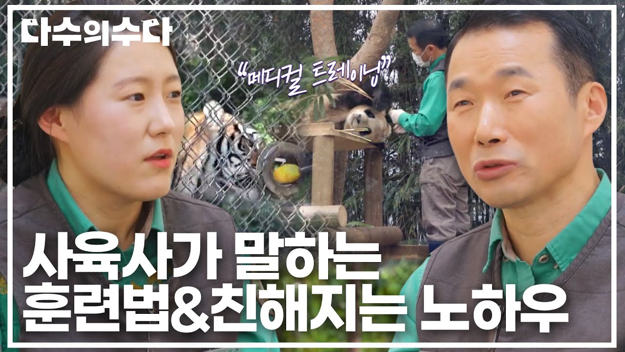 빨리 친해지는 노하우가 있다?! 건강을 위한 훈련법까지! 동물들을 돌보는 사육사들의 노력💦｜다수의 수다｜JTBC 220121 방송