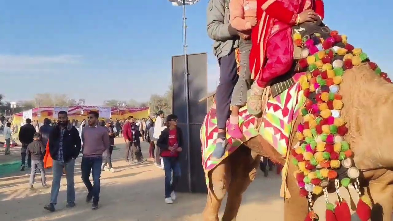 Camel festival Bikaner#dailyvlog #automobile #duet 