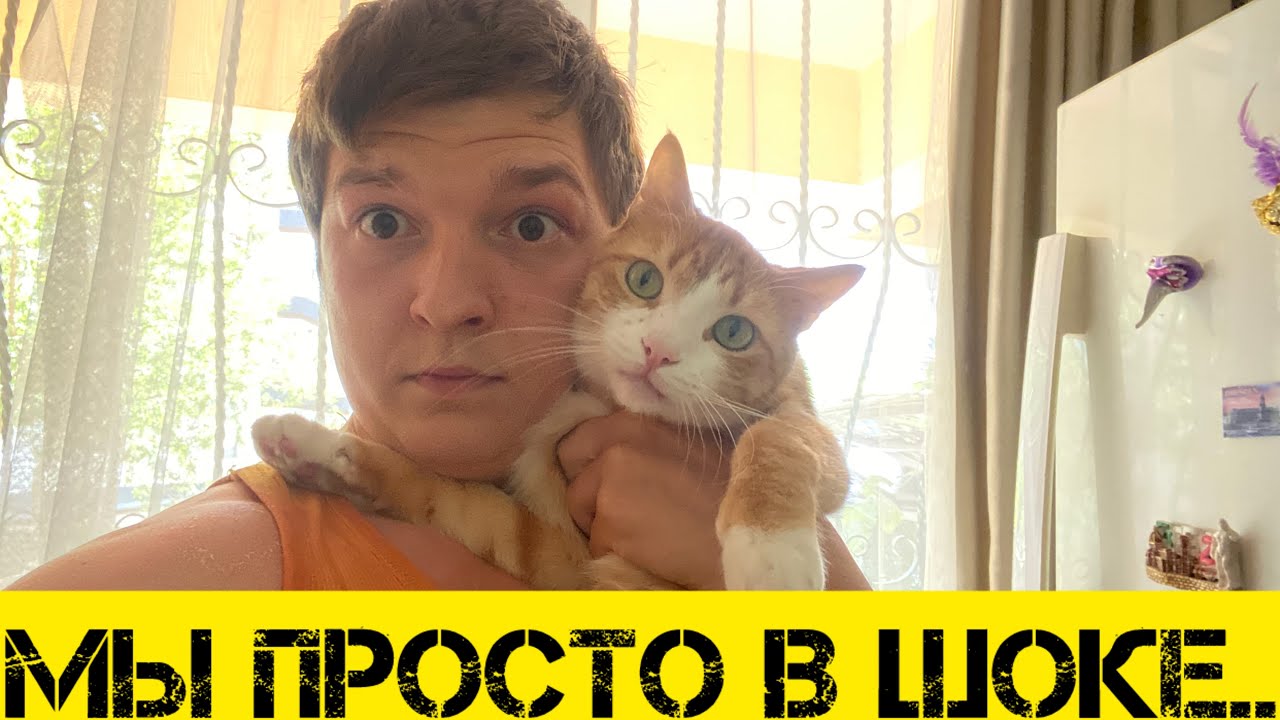 Я наконец-то ✈️🏠В Измире все в Огне жара х2  Люди и животные в шоке 😨
