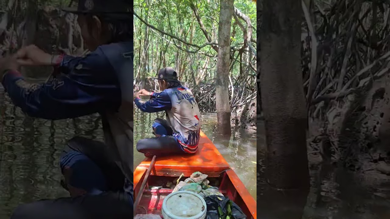 หาปูดำ/ยกลอบ ep95 13ค่ำ.      #หาปูในป่าชายเลน #ฟีดดดシ #crabhunter 