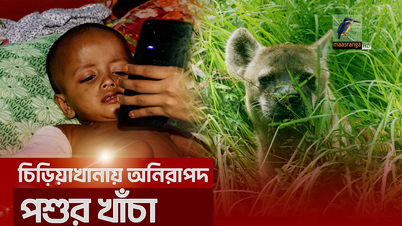 চিড়িয়াখানায় অনিরাপদ পশুর খাঁচা । Maasranga News