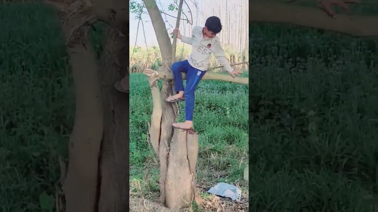 samar climbing tree