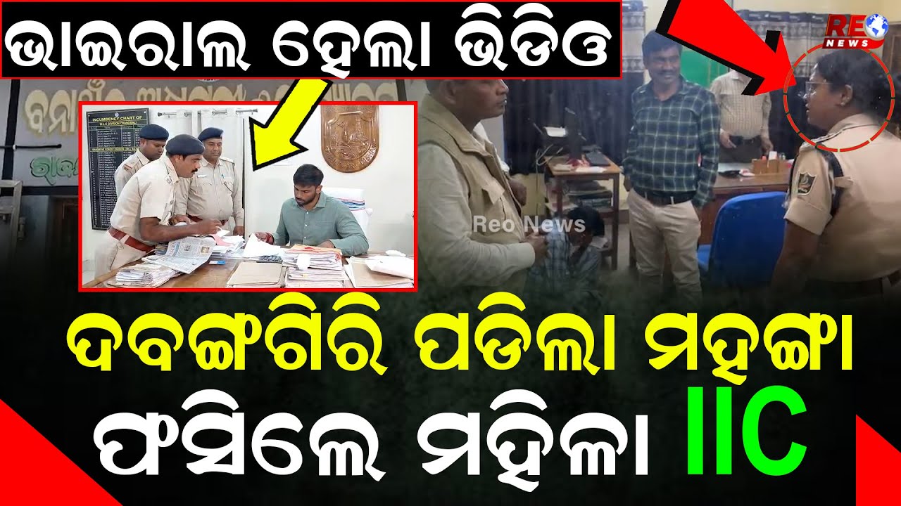 ବନବିଭାଗ କାର୍ଯ୍ୟାଳୟରେ ଦବଙ୍ଗଗିରି IICଙ୍କୁ ପଡିଲା ମହଙ୍ଗା ll Kendrapara ll Rajnagar ll IIC