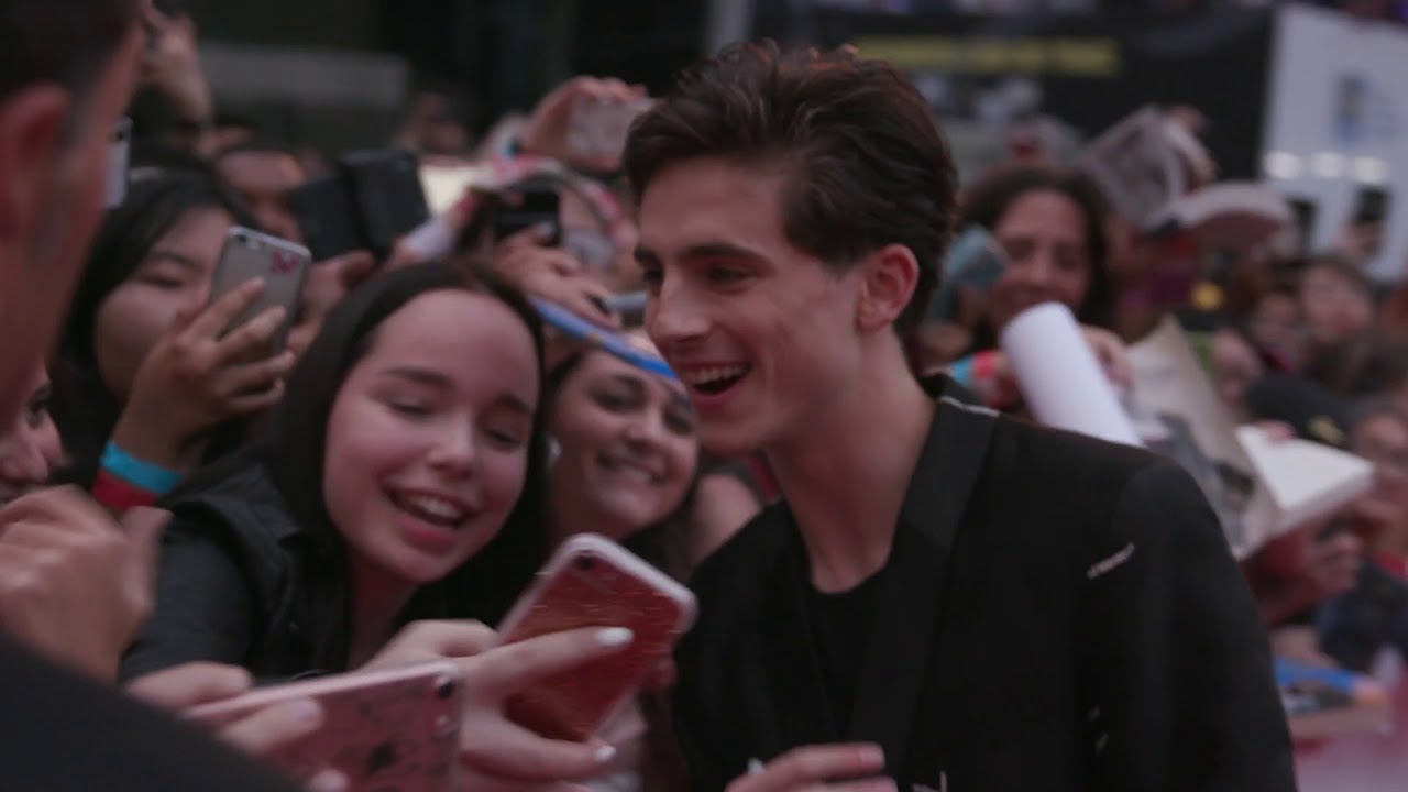 Beautiful Boy: Timothee Chalamet Red Carpet Premiere Arrivals TIFF 2018 | ScreenSlam
