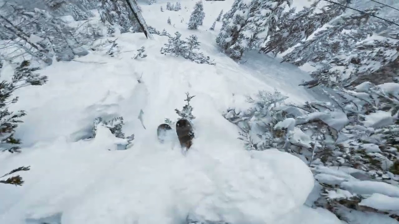 Mt. Baker Ski Area pow skiing