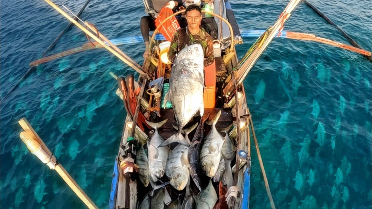 MENYELAM DI SARANG IKAN KEPULAUAN SIMEULUE