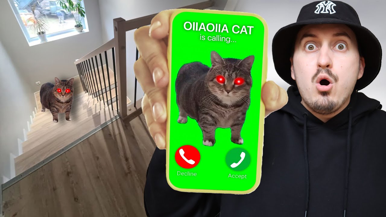 OIIAOIIA CAT EXE broke it to NIKPIG home