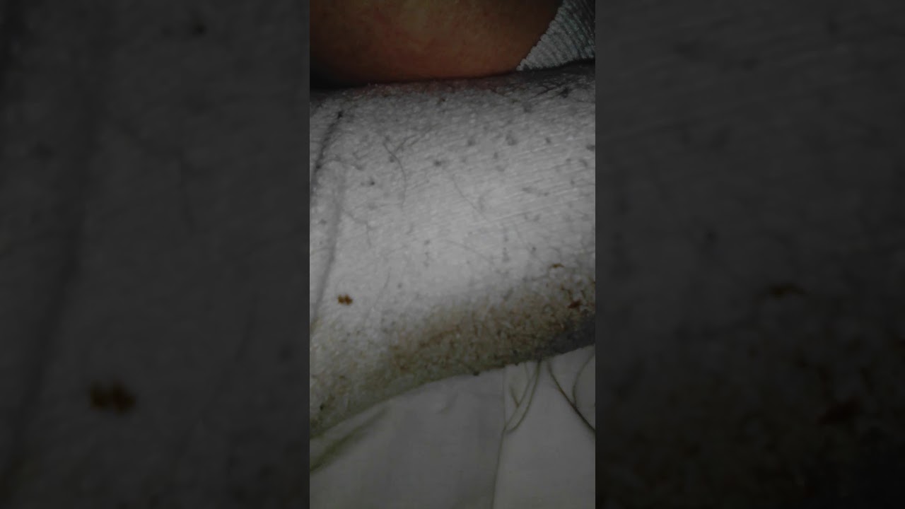 Scally White socks