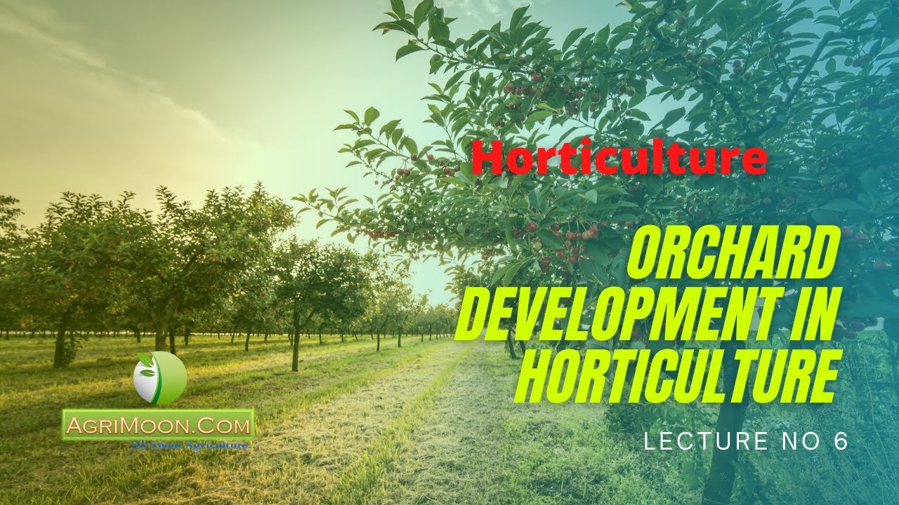 Orchard Development in Horticulture | Horticulture | Lecture 6 | Debjani Pandit | AgriMoon