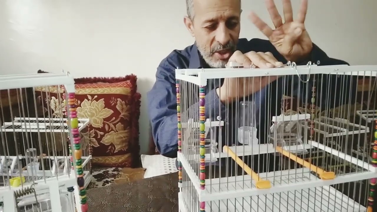 أقفاص بنفس الخدمة بنفس المواد مع سهولة الاستعمال.