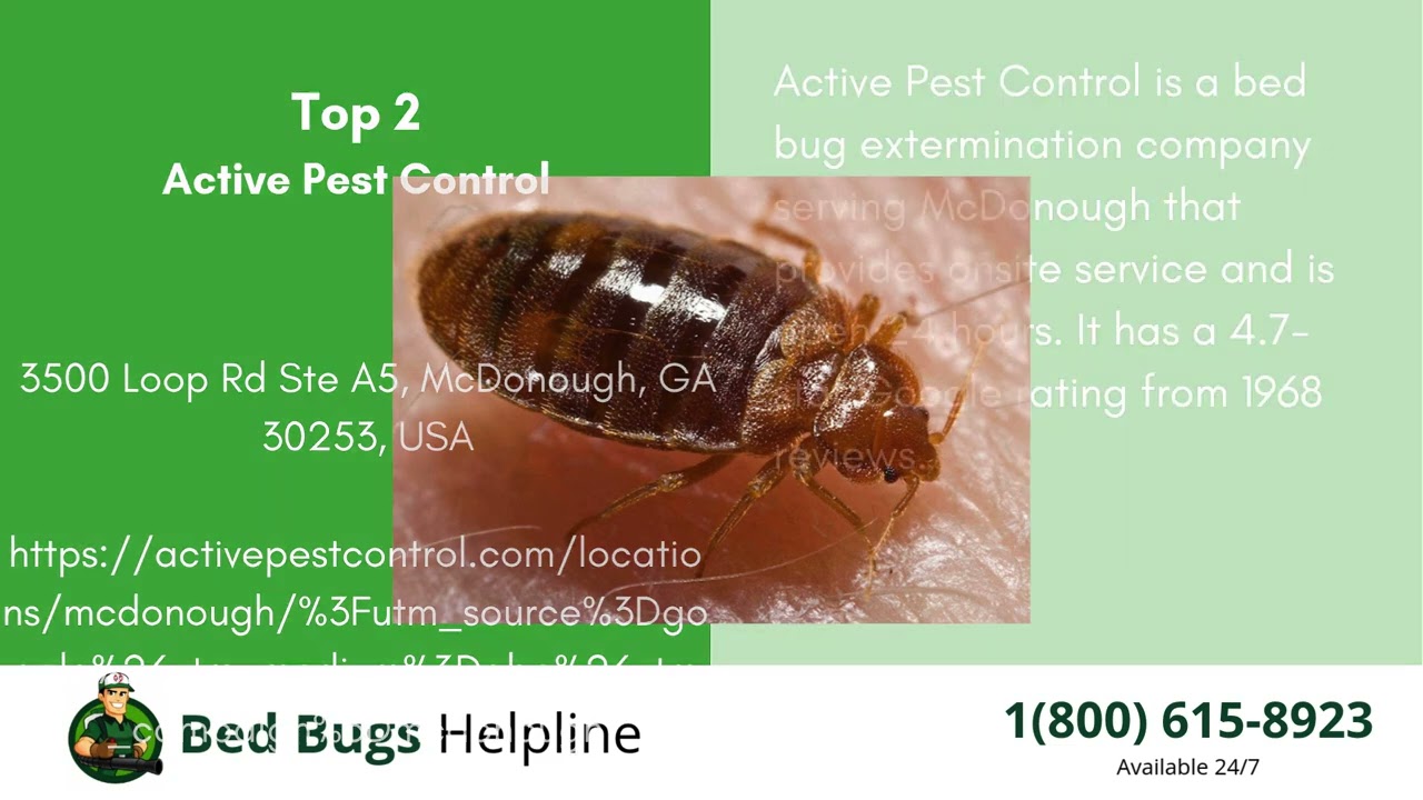 Top 3 Bed Bug Removal in McDonough