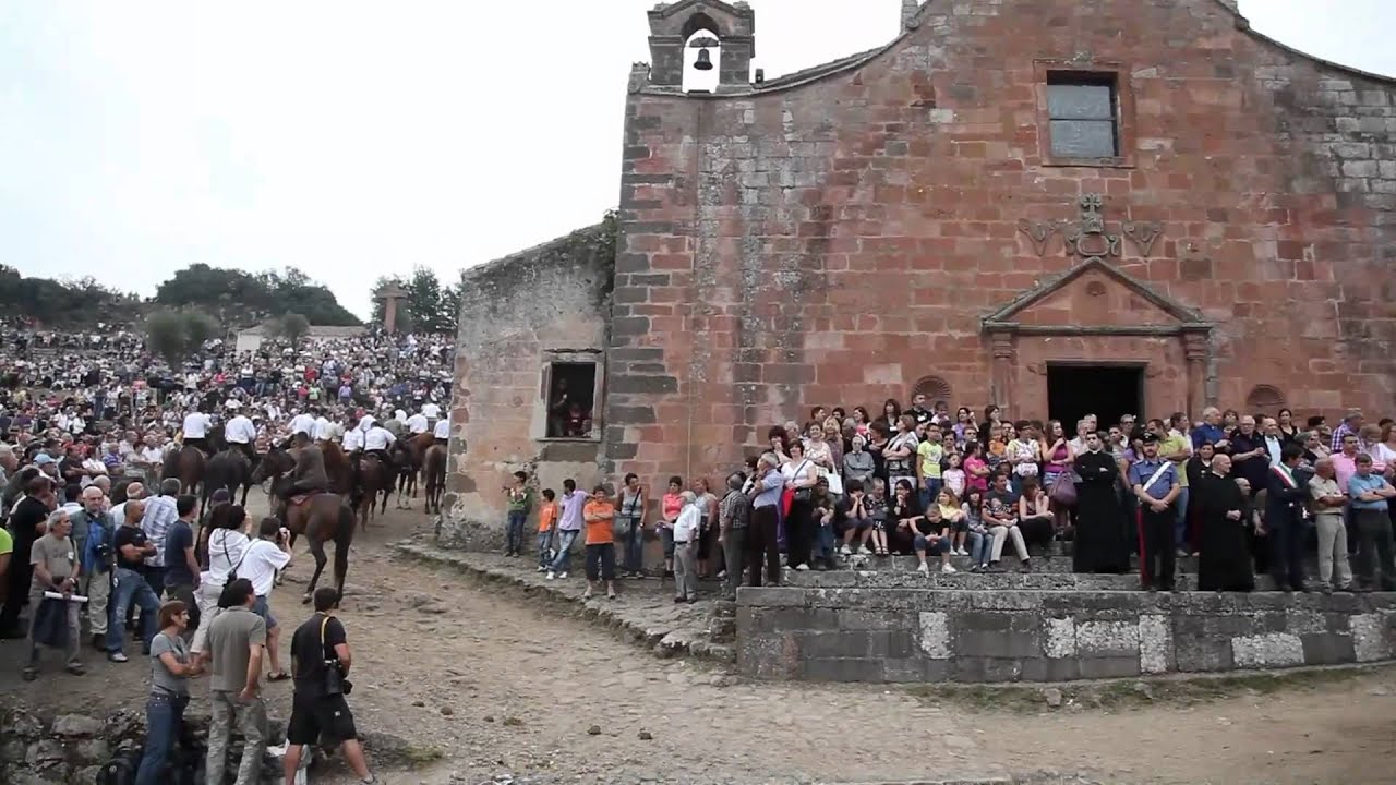 sedilo ardia