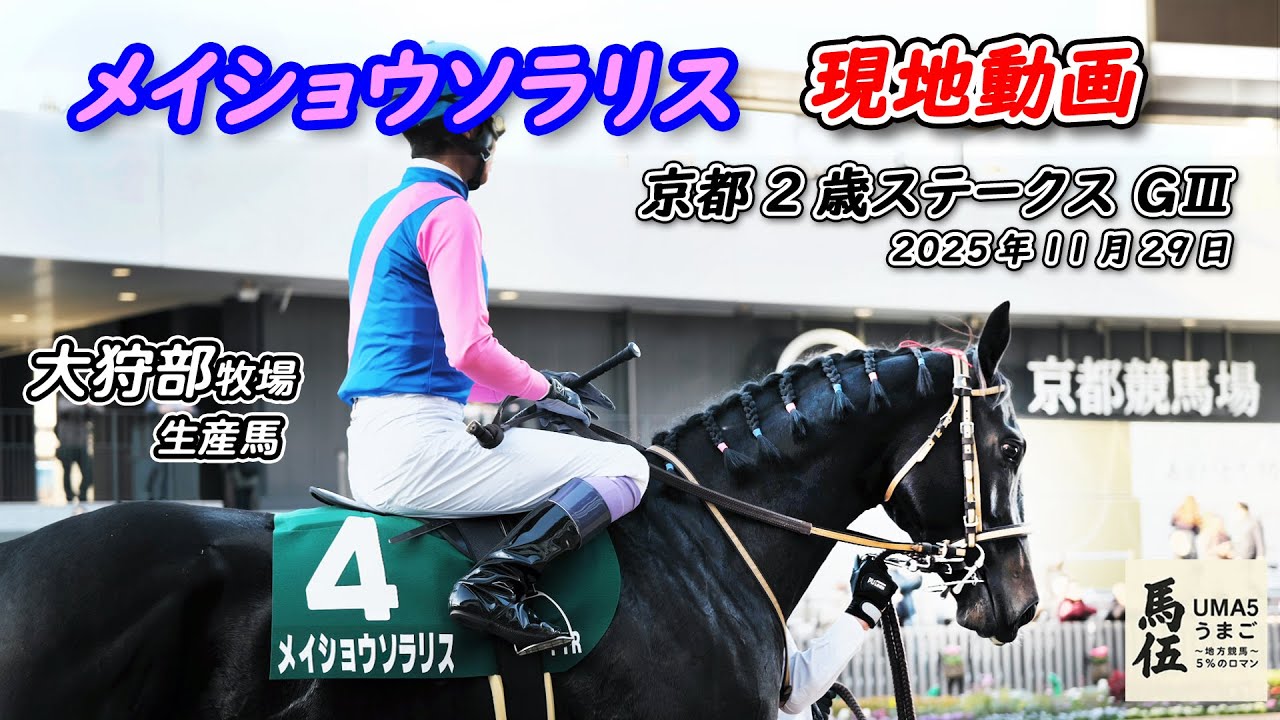 【現地映像】武豊×メイショウソラリス｜大狩部牧場生産馬｜京都2歳S(GⅢ)