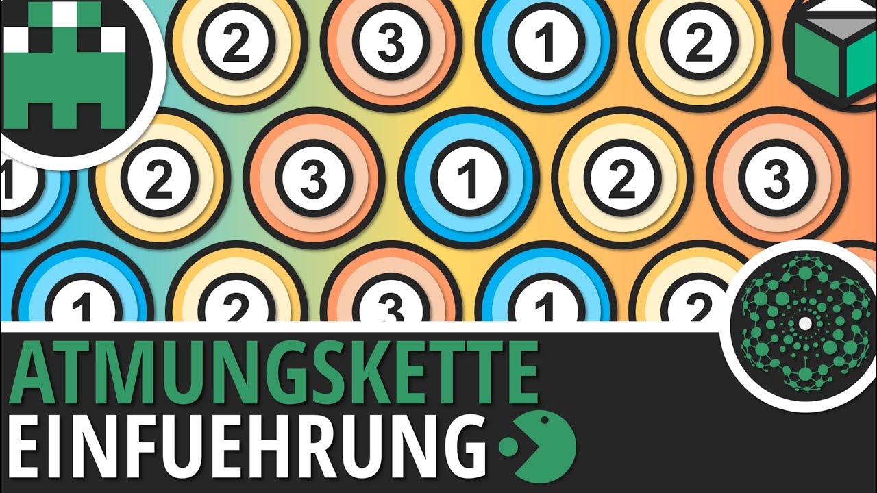 Atmungskette Einführung einfach erklärt│Biologie Lernvideo [Learning Level Up]