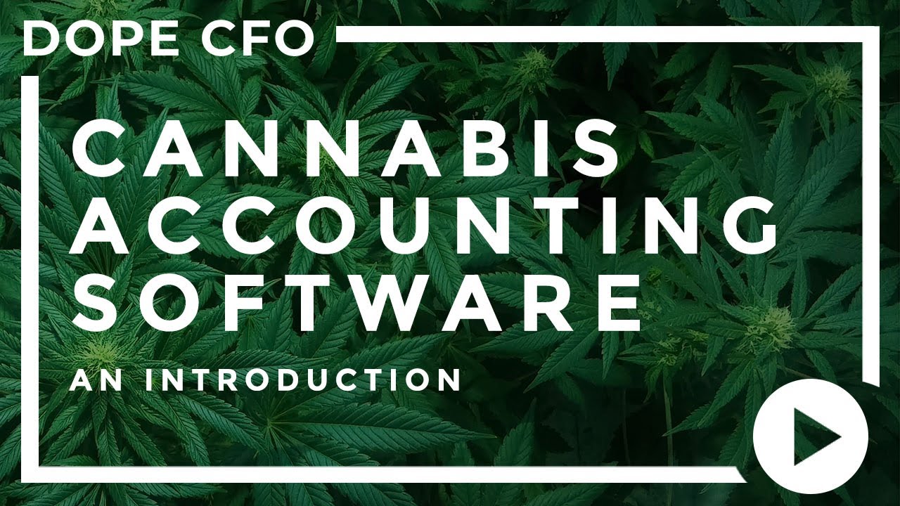 Cannabis Accounting Software: A Deep Dive Into Accounting Suite