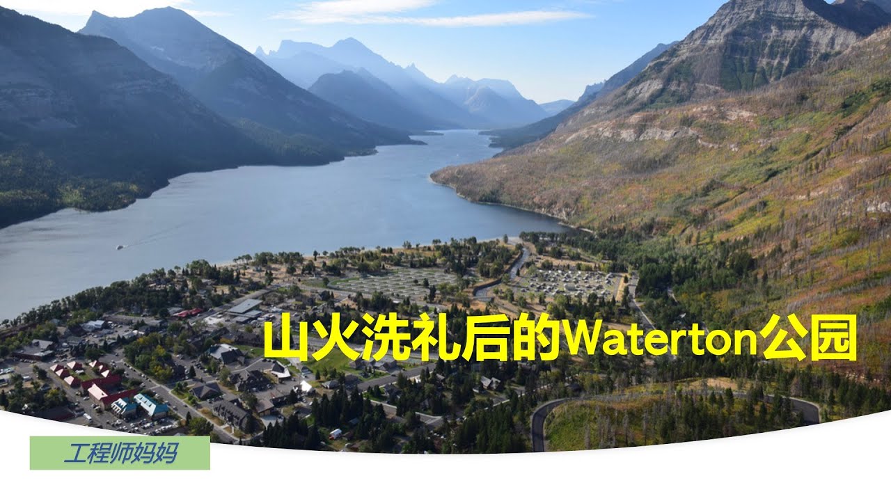 落基山脉深度游 (12) - Waterton国家公园, 经历山火洗礼的公园 ( 带字幕) #落基山脉旅游加拿大 #沃特顿 #自驾游加拿大 #waterton