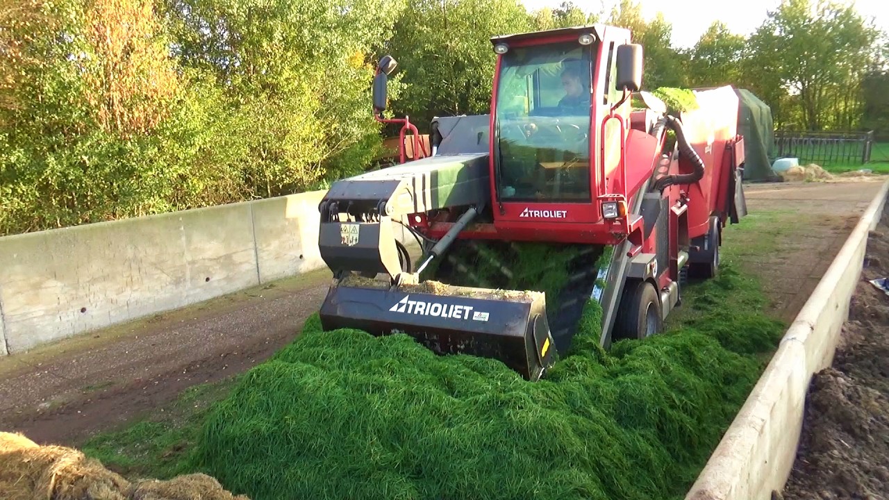 Arkink feeding dairy