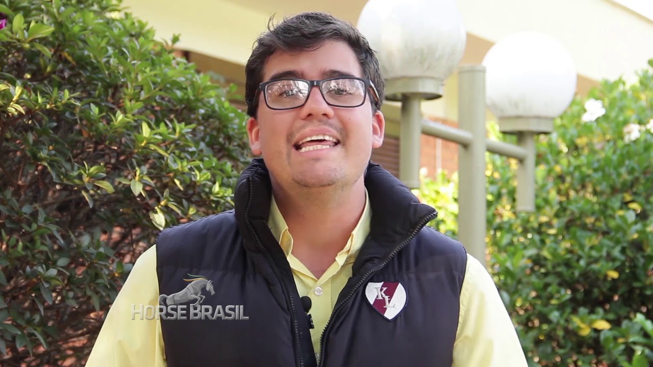 Quero começar minha primeira criação de cavalos