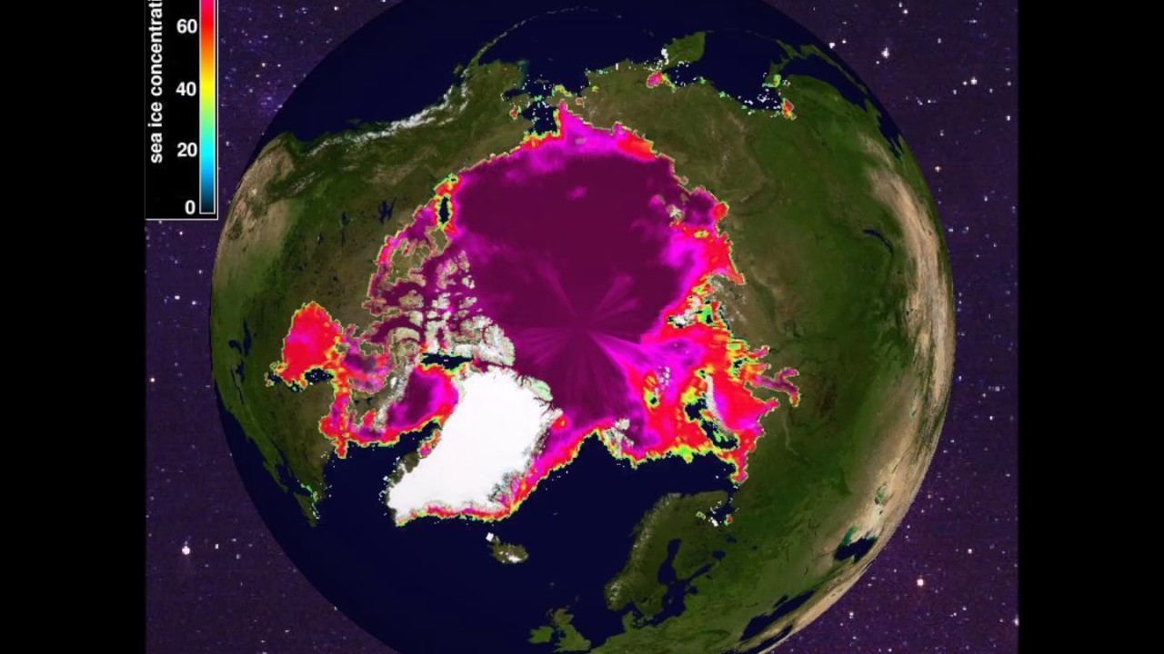 1979 Minimum Sea Ice Concentration
