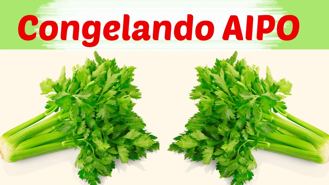 Como congelar AIPO  ( Também Conhecido como Salsão) | #deliciasdaniveasantos