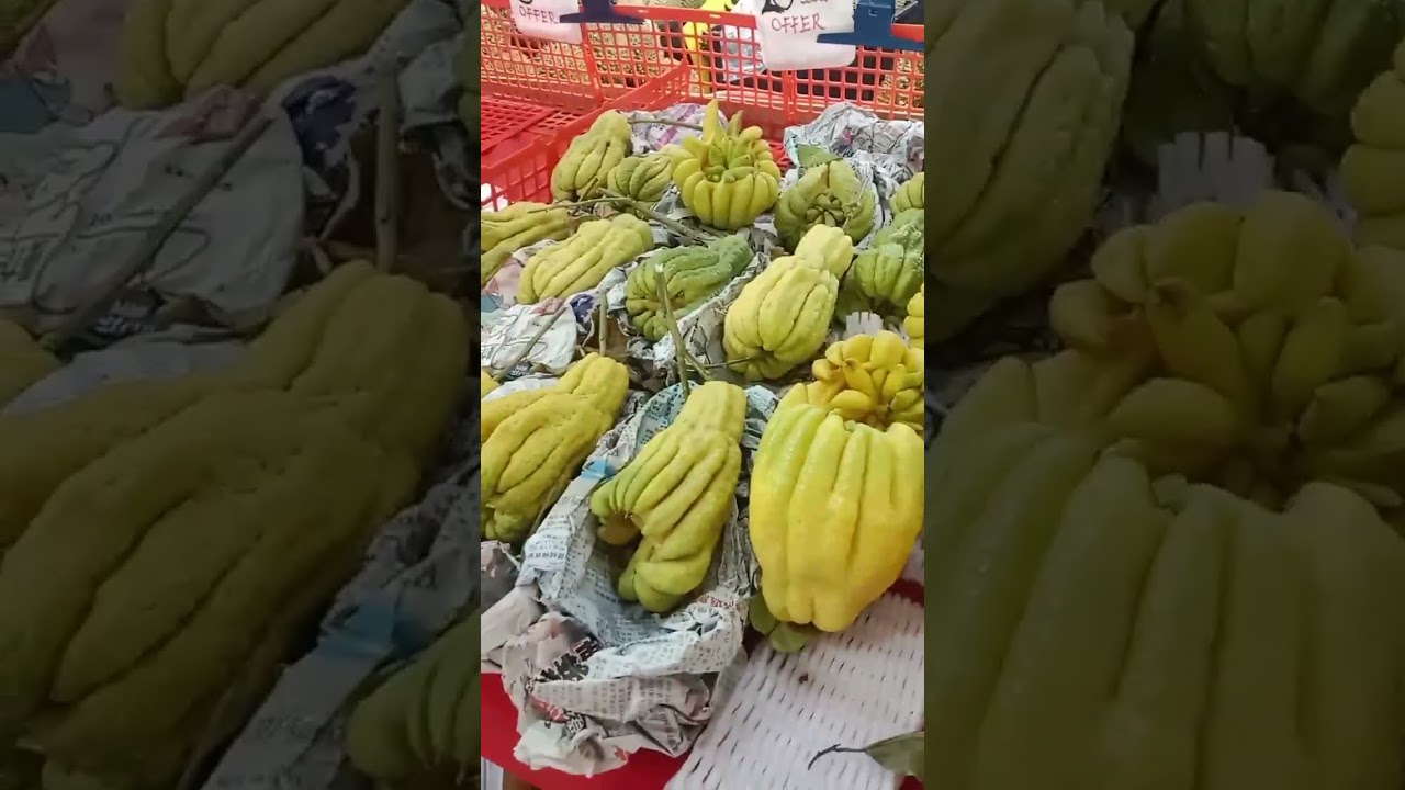 antar bocil ngaji disingapore, pulangnya belanja buah