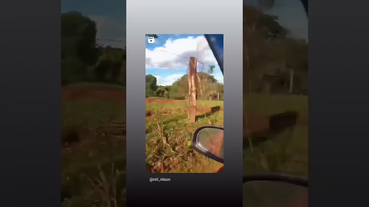 Natureza Radical