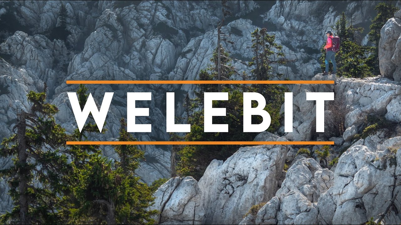 Chorwacja opustoszała! Welebit, Premužicia, Paklenica i pędzel 🐗 Trekking z widokiem na Adriatyk