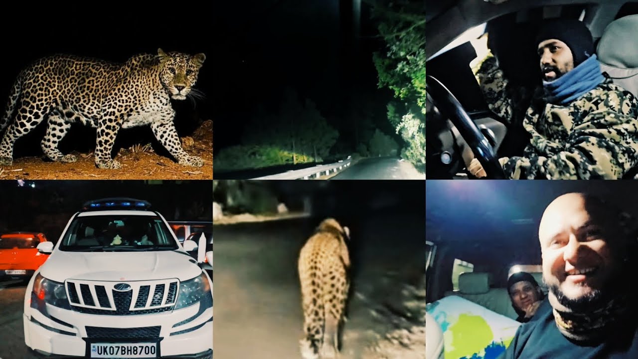 In search of Leopard । Lansdowne Wildlife । Travel Vlog । Leopard Tracing ।  #india #uttarakhand