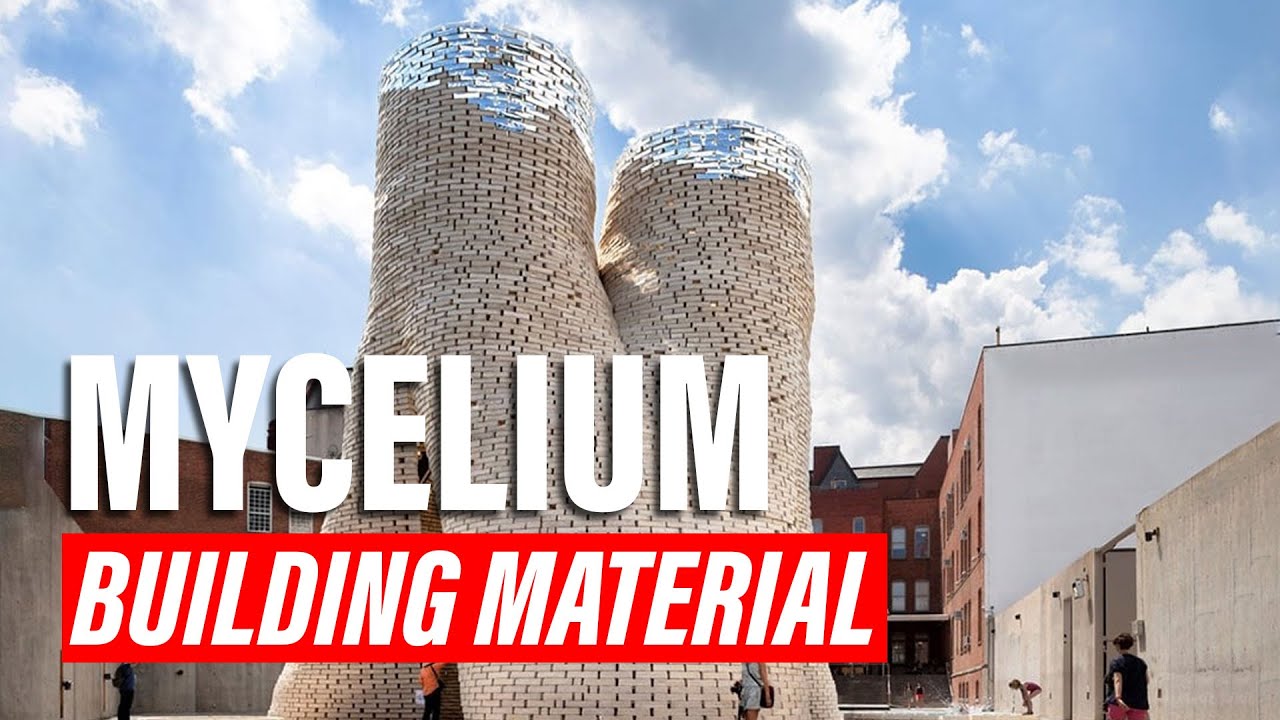 🟢 Mycelium: The Sustainable Building Material of the Future 🌱 | InnoVision Tech