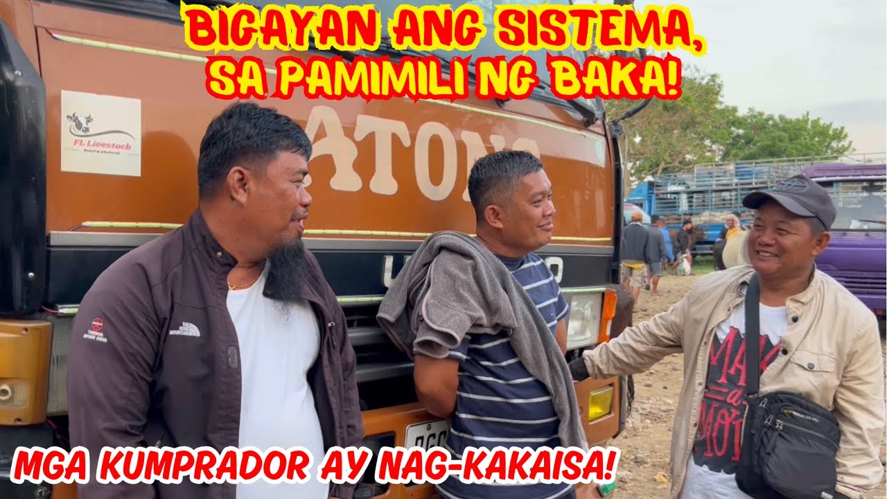 BIGAYAN ANG SISTEMA, SA PAMIMILI NG BAKA! | MGA KUMPRADOR AY NAG-KAKAISA! | SOLLE'S GANDANG BUHAY