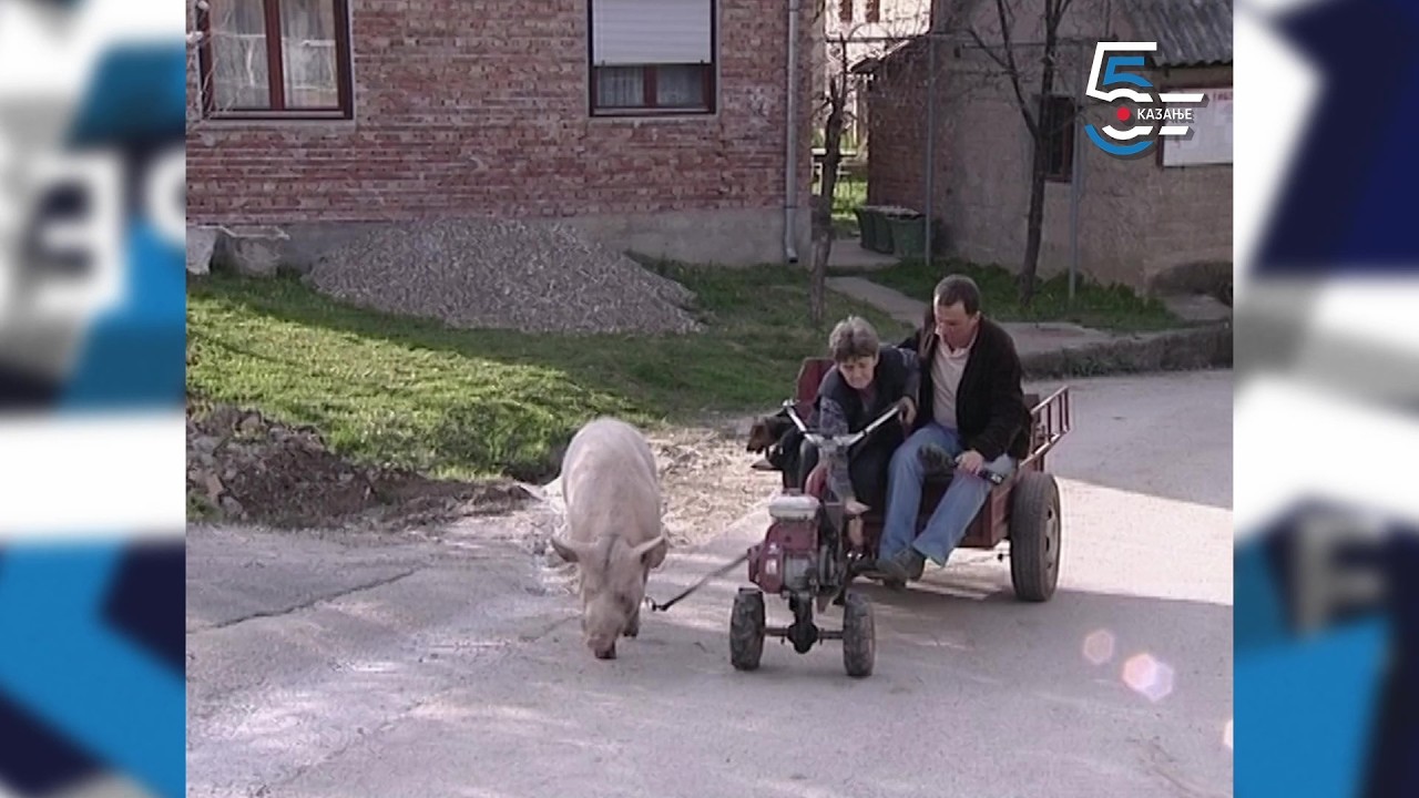 Miša nerast iz Čerevića - zgode jednog brava