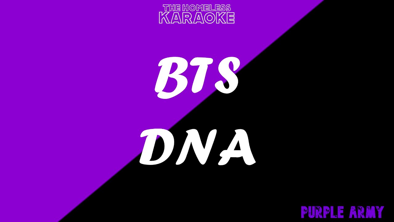 BTS DNA Karaoke - The Homeless Karaoke