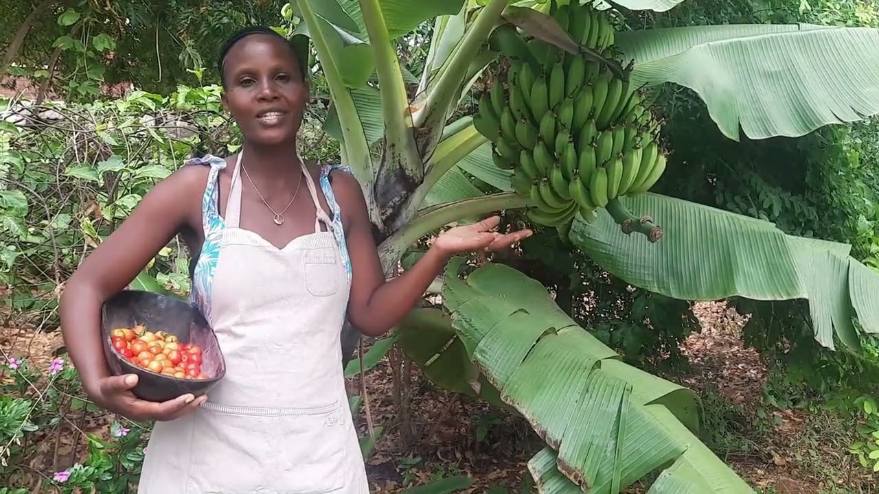 Some of success in collecting special plants & seed saving
