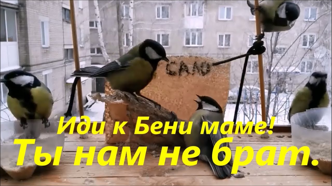 Иди к Бени маме! (Ты нам не брат) Песня 2026