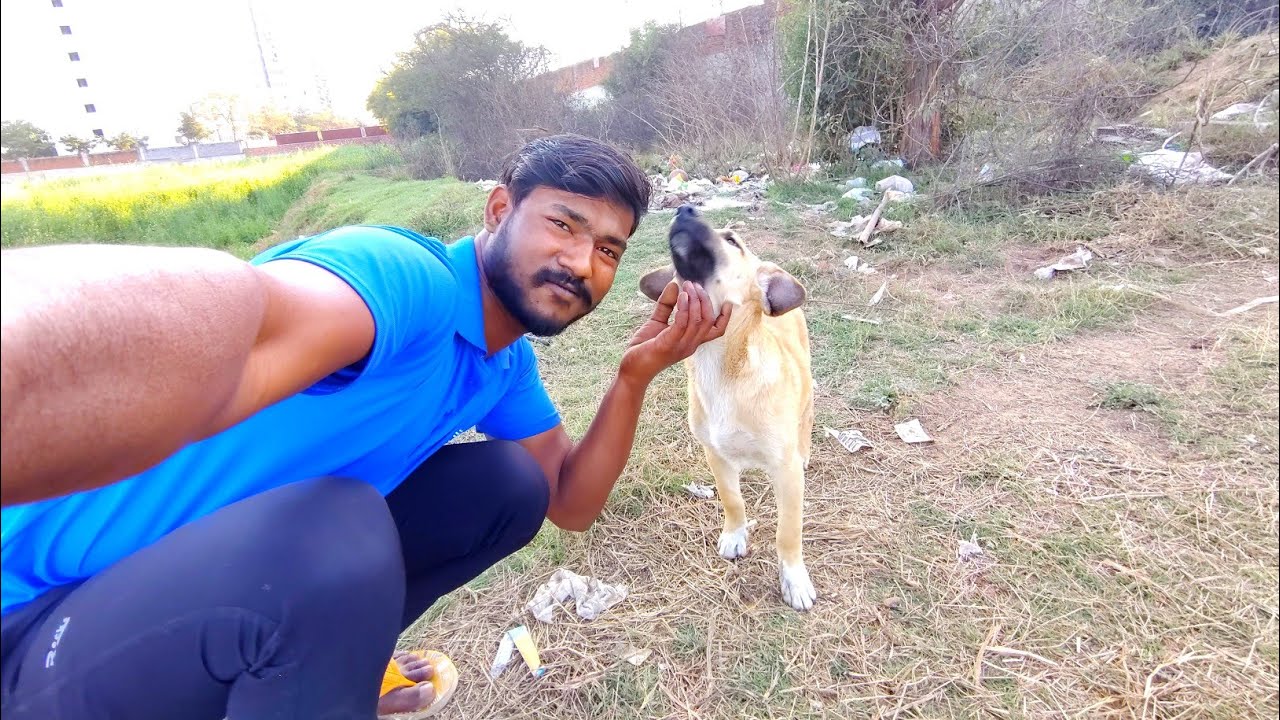 Puppy Dog 🐕 Itne Ghane Jungle Mein kya kar Raha Hai 