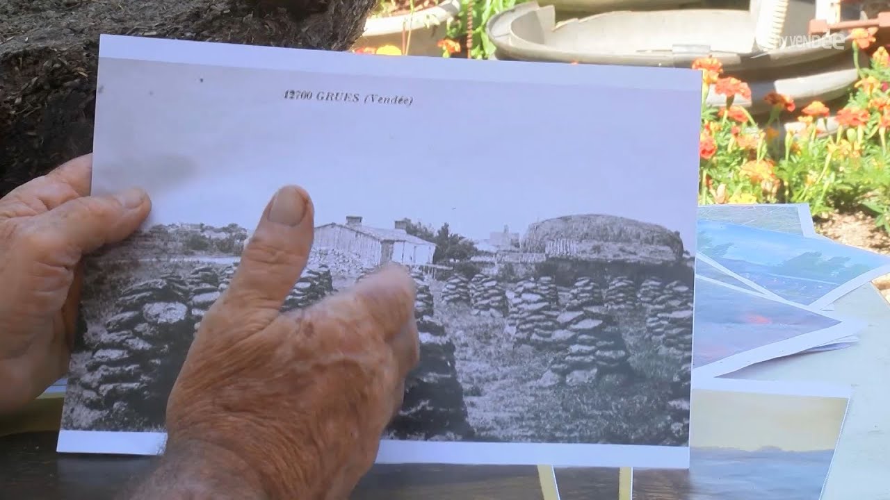 Triaize : La bouse, cet or noir du marais poitevin