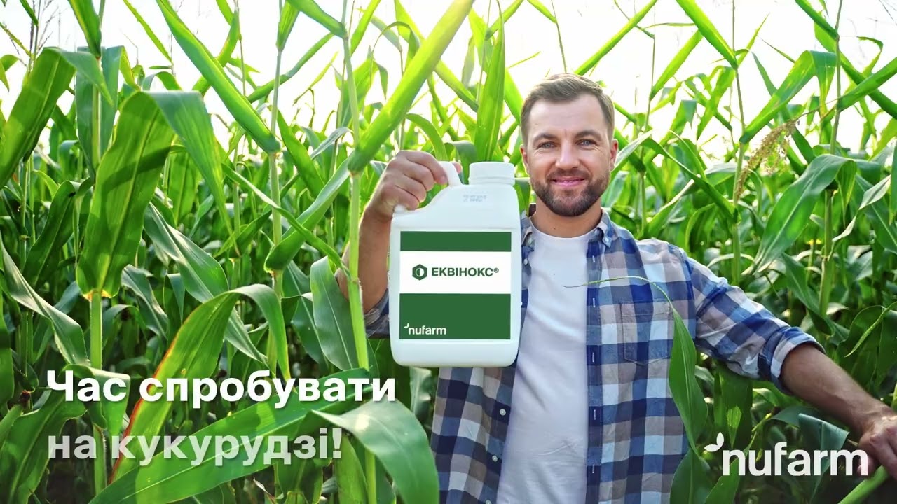 Гербіцид ЕКВІНОКС®. Час спробувати на кукурудзі!