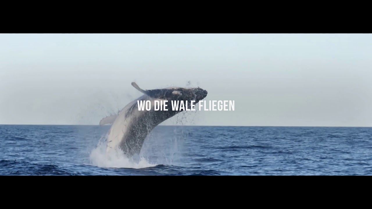 DIAMIR  - Chile - Wo das Unm&ouml;gliche m&ouml;glich wird
