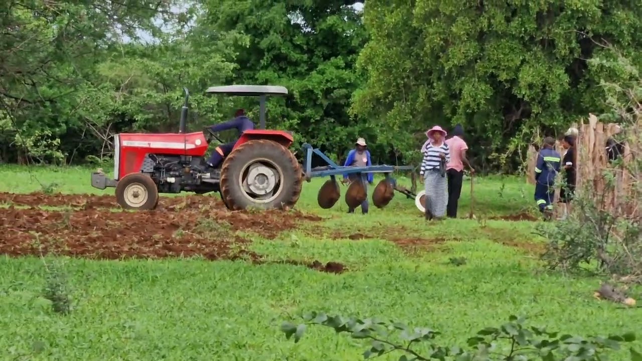 Massey Ferguson 290 Ploughing