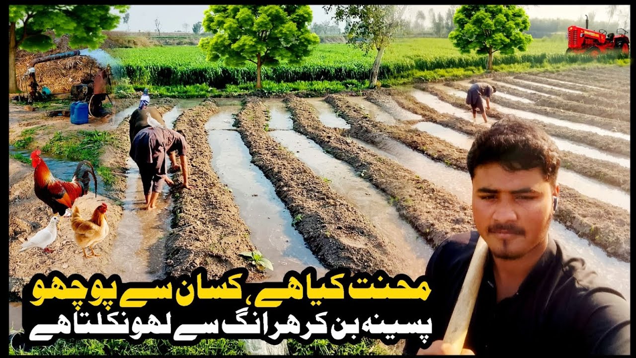 Desi Farmer Life Vlog | Real Village Routine#dailyvlog#vloglife