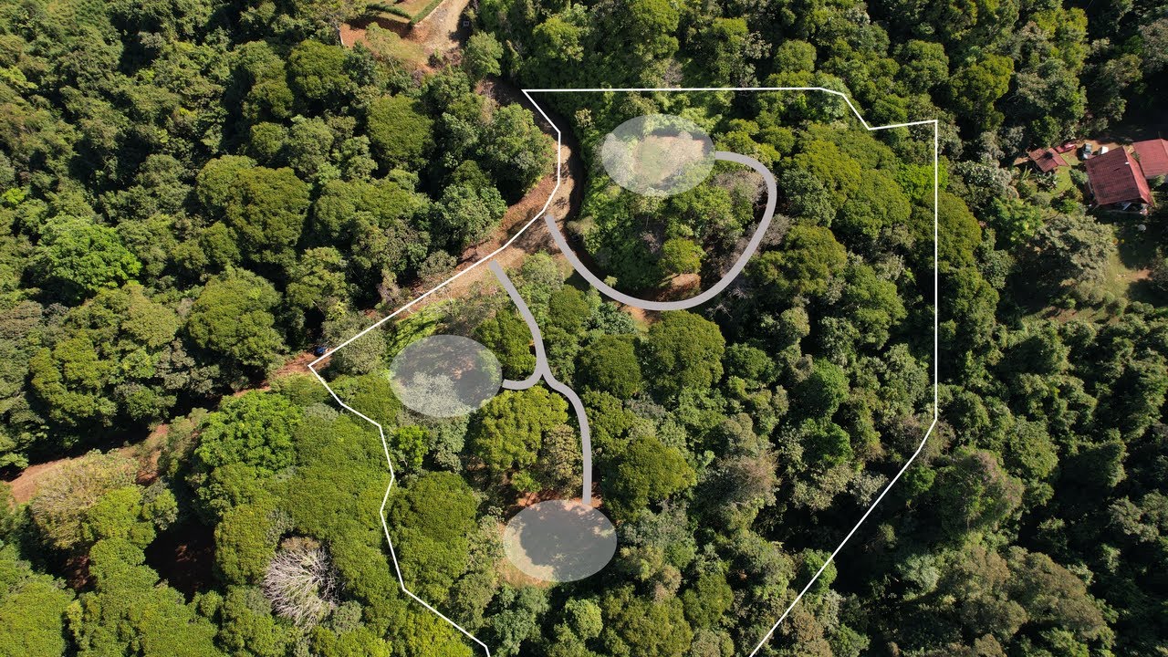 6 Acres 3 Building Sites Subdividable in Platanillo