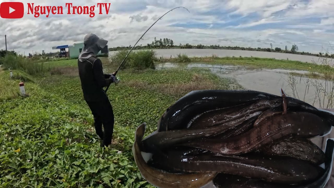 Khám phá điểm câu cá mới mới cá nhiều hơn trongTràm Chim #92