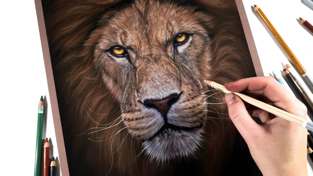 How to draw LION fur with PASTEL pencils - Which colors to choose? | REAL TIME
