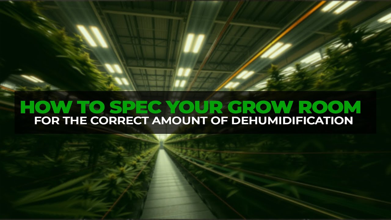 How To Spec Your Grow Room For The Correct Amount Of Dehumidification