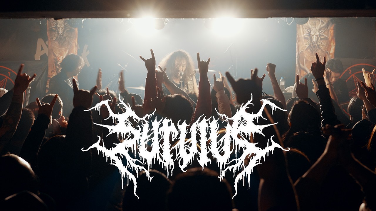 SURVIVE - We came back - 2025.11.30
