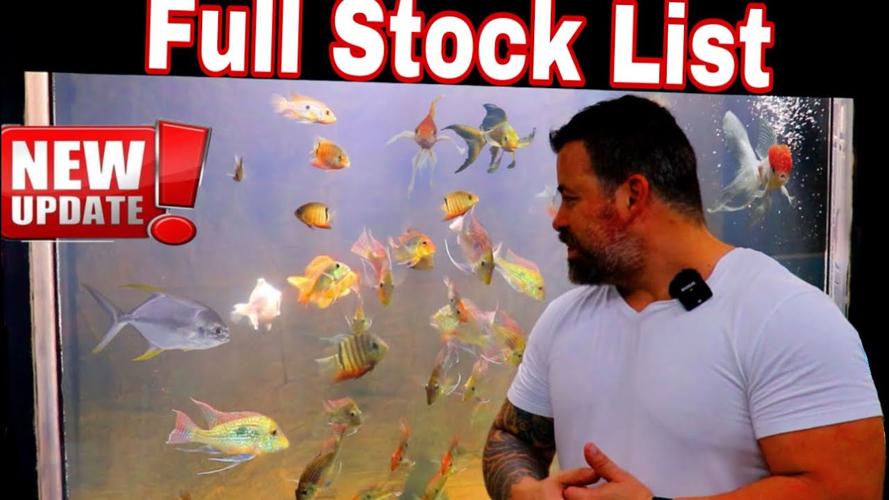 Full fish stock, everything we have for sale now! Lots of awesome fish