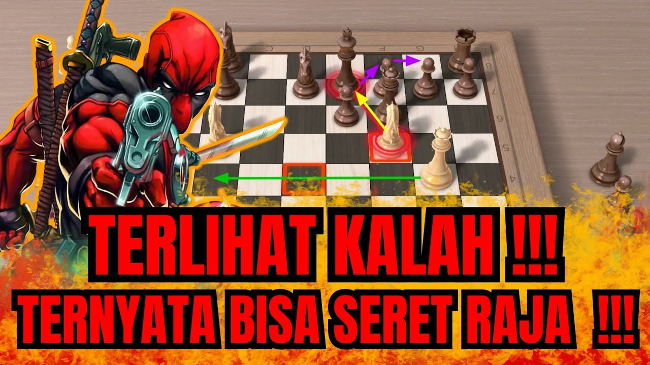 KALO PEMULA PASTI DIKIRA KALAH 😂
