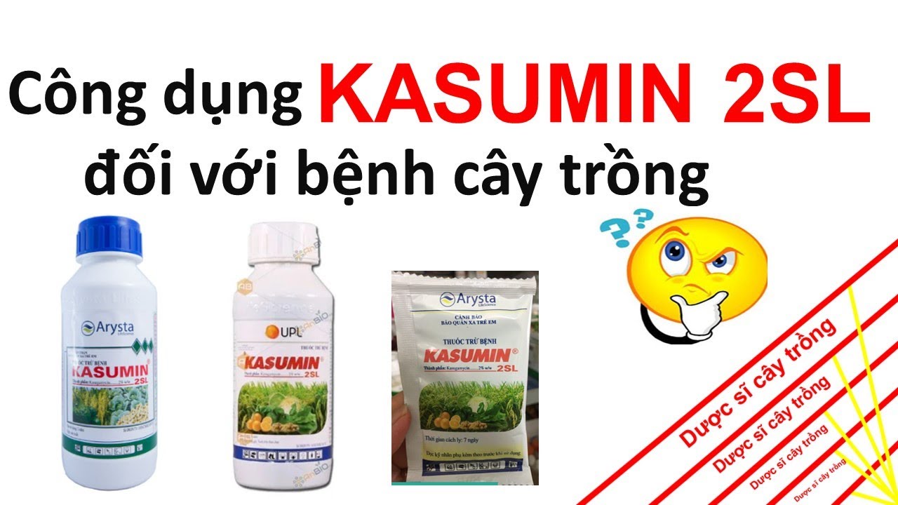 Bạn có biết Kasumin 2SL trừ cả nấm và vi khuẩn không? | Kasugamicin | bệnh cây | dược sĩ cây trồng